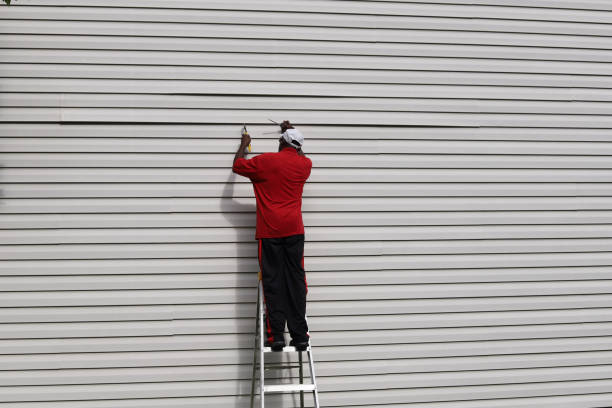 Affordable Siding Repair and Maintenance Services in Lovelock, NV